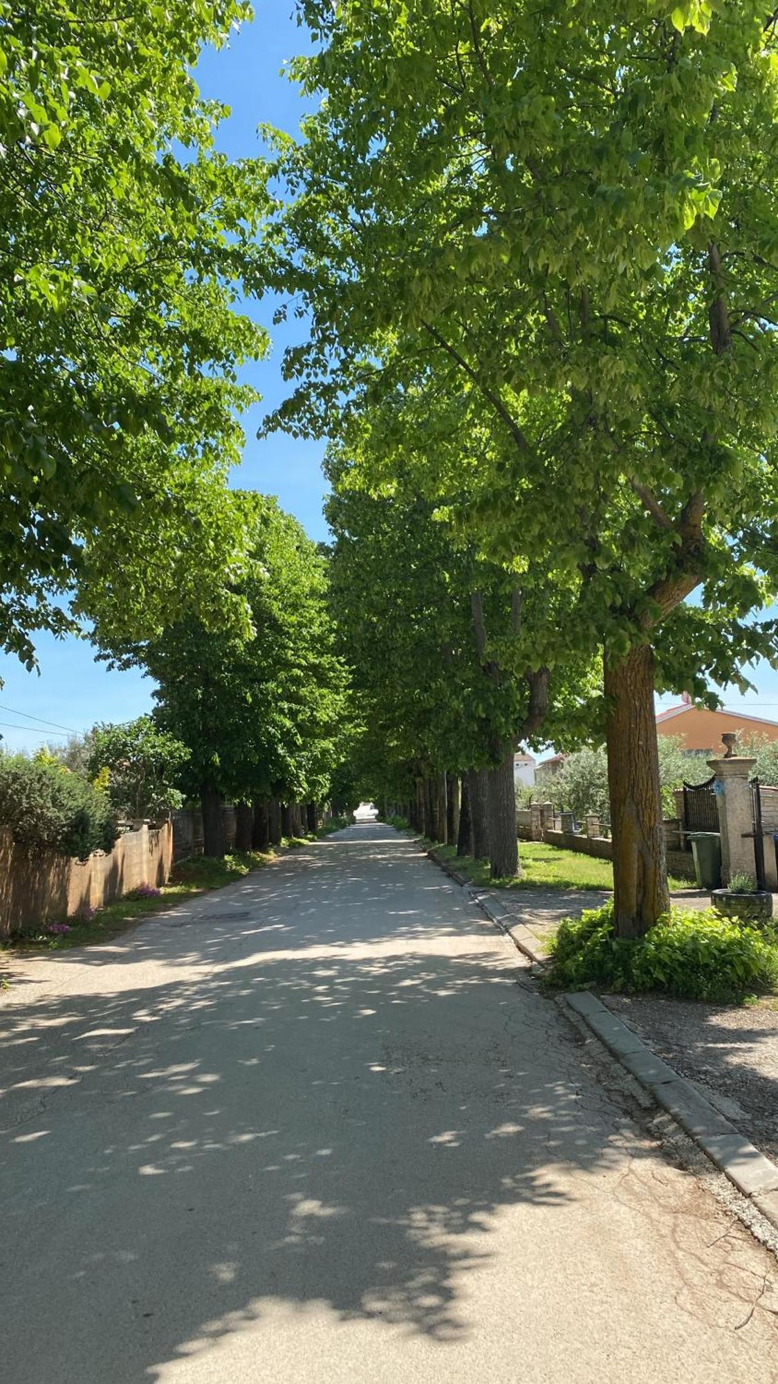 Apartment Воднян Экстерьер фото